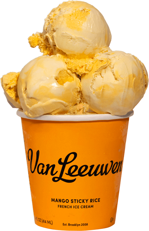 Mango Sticky Rice Ice Cream