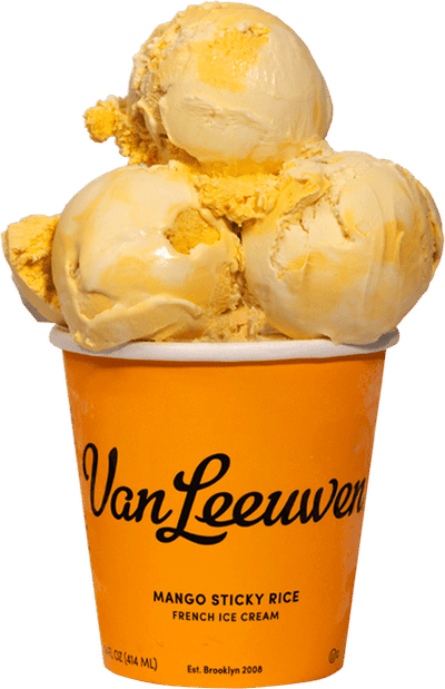 Mango Sticky Rice Ice Cream