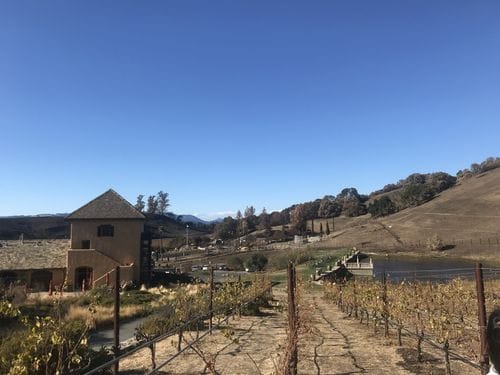Nicholson Ranch Winery & Vineyards