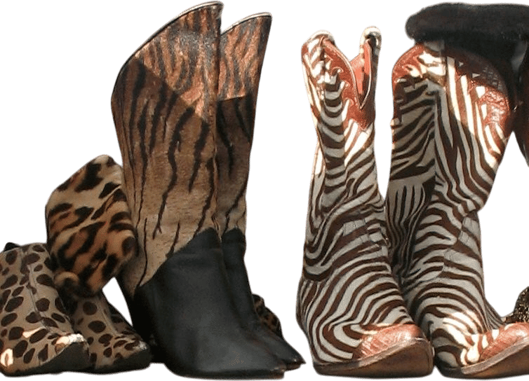 Members-Only Recommendation