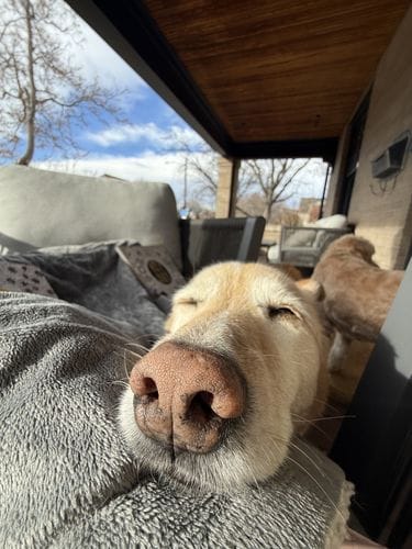 cozy mornings on the porch
