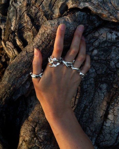 Ildar Wafin Rings