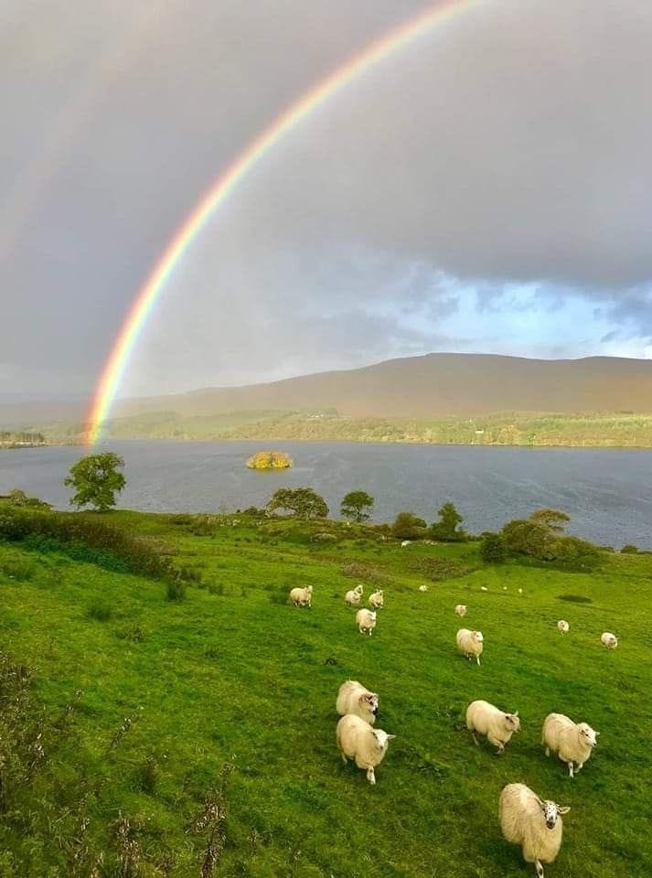 Go to Ireland