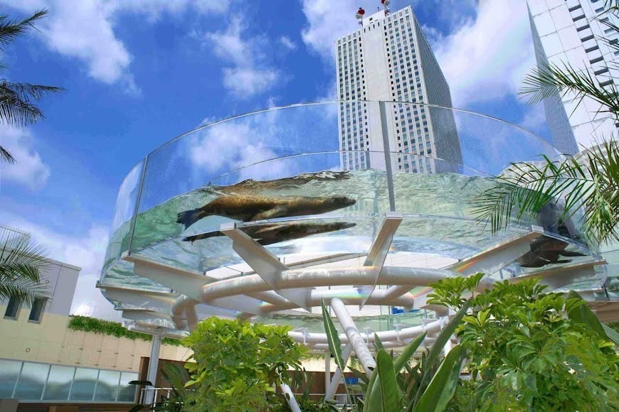 Sunshine Aquarium サンシャイン水族館