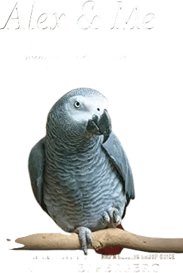 Alex & Me by Dr. Irene Pepperberg