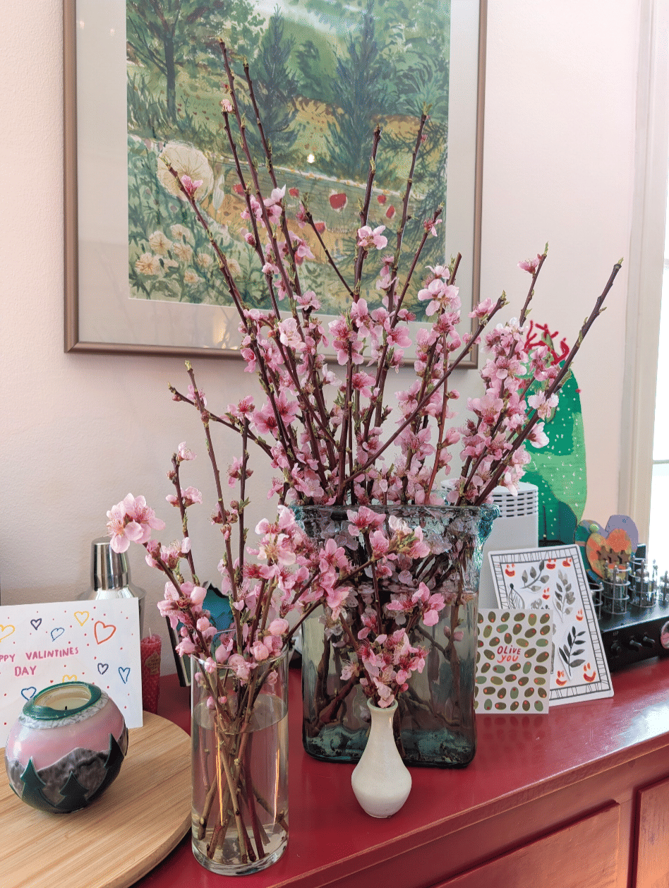 Bridal Pink paint by Benjamin Moore