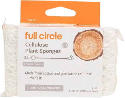 Totally Plant-Based Sponges