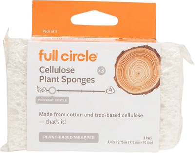 Totally Plant-Based Sponges