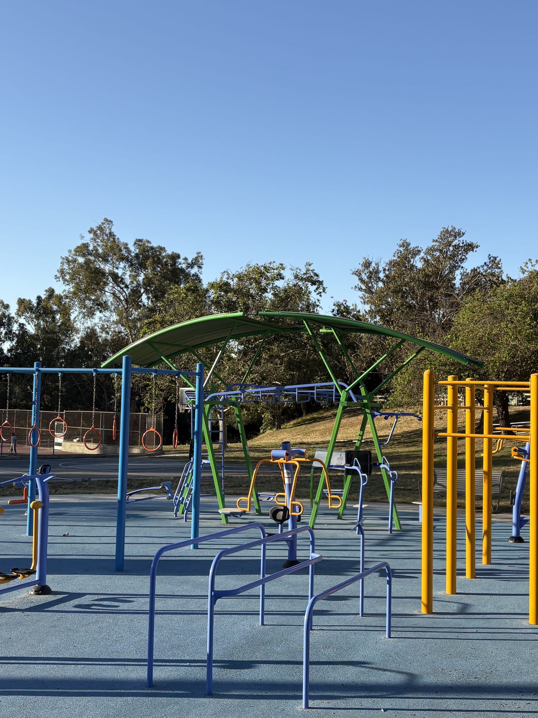 Monkey Bars