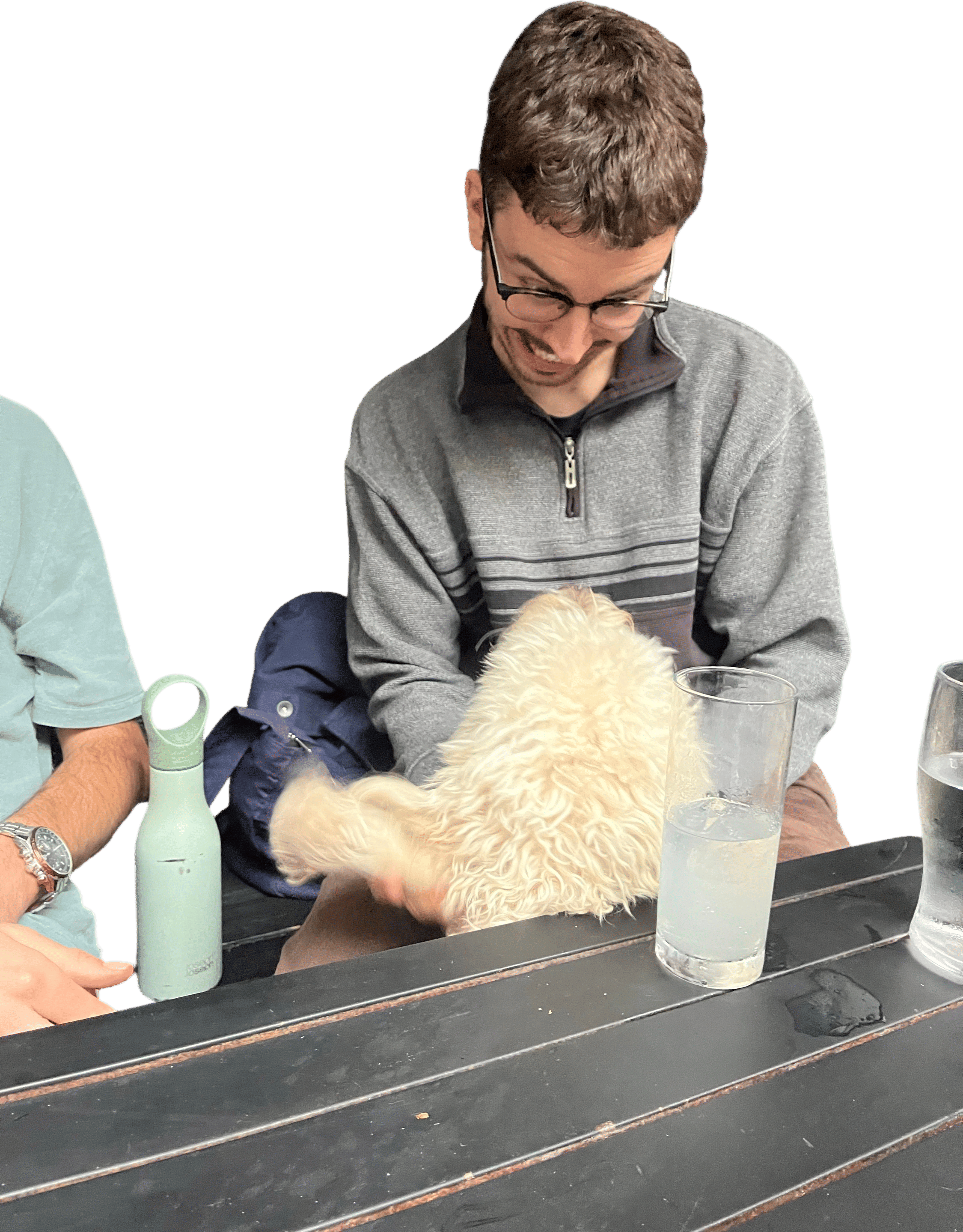 Taking your dog to the pub