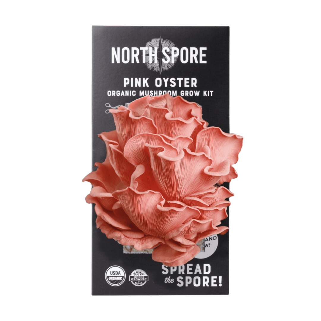 Organic Pink Oyster Mushroom Growing Kit