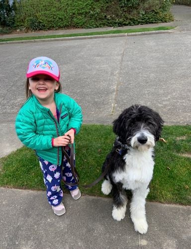 Get the right dog