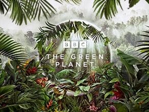 Green planet