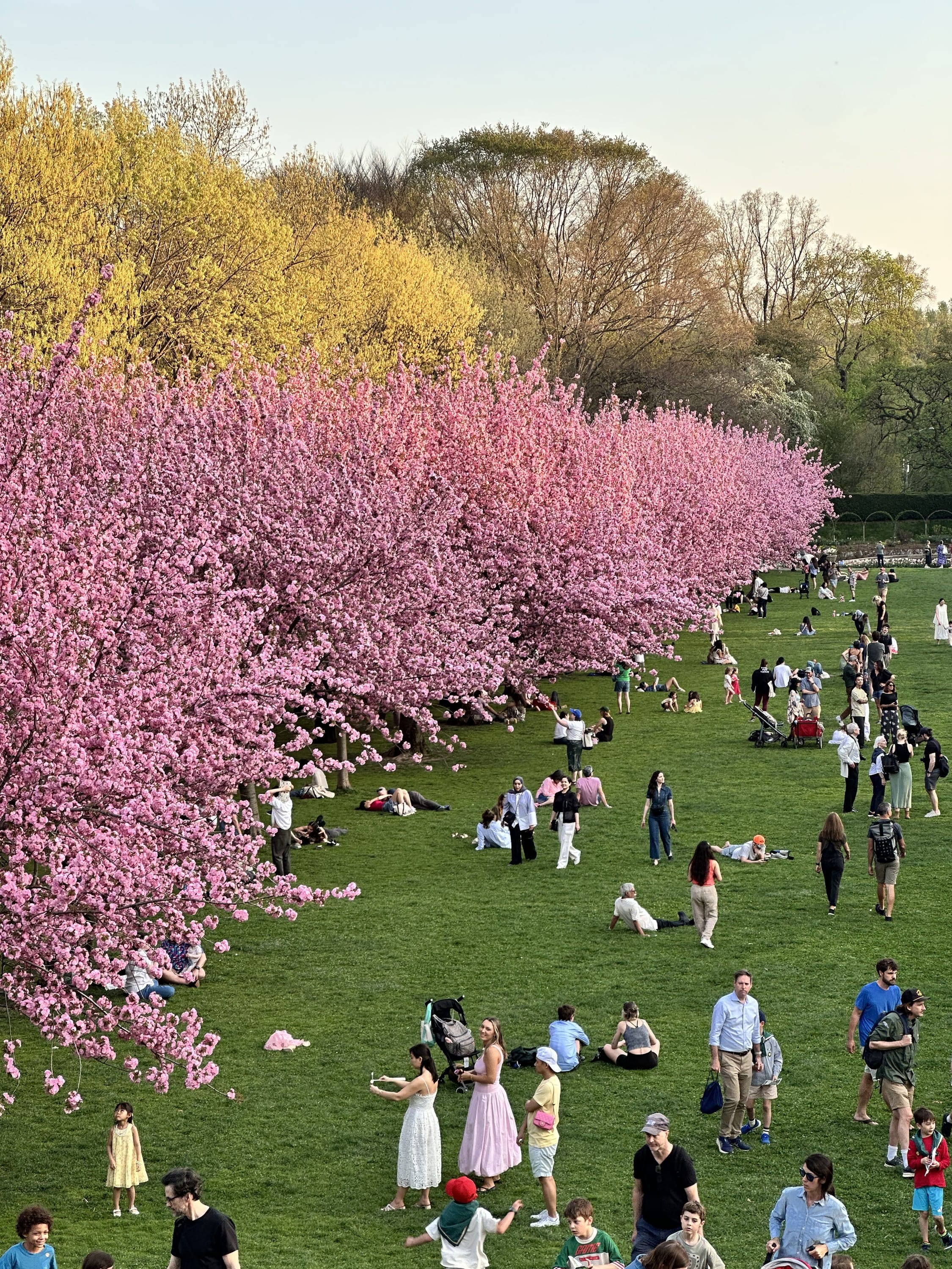 Brooklyn Botanic Garden Membership