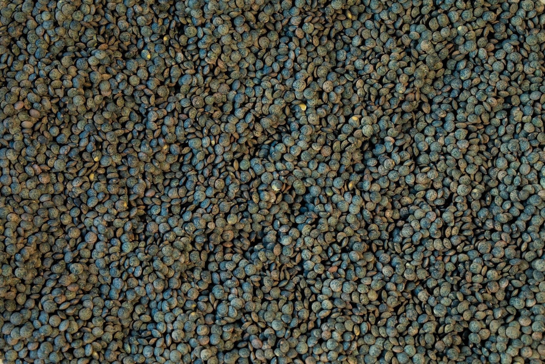 yogurt and lentils for breakfast