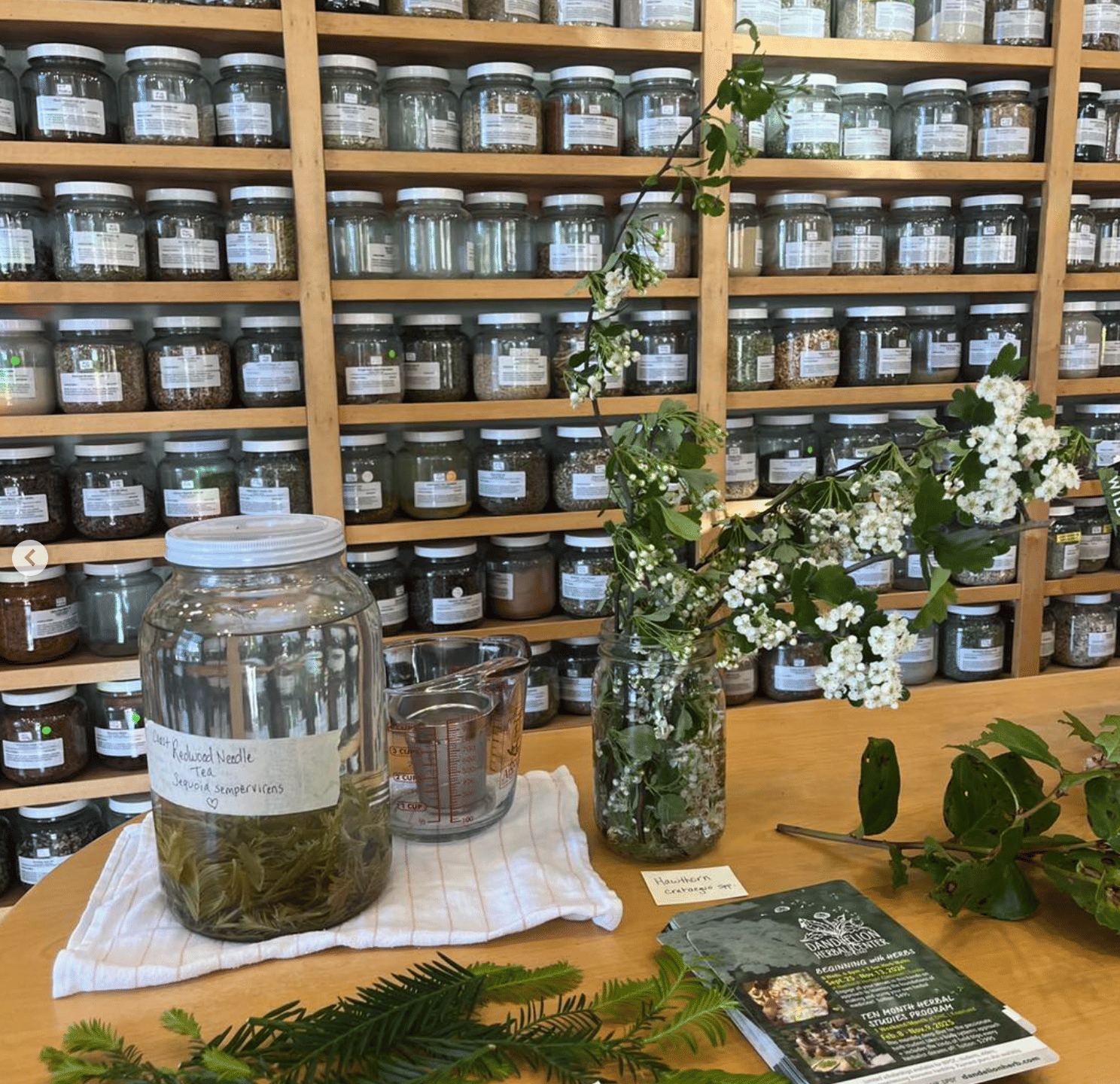 Humboldt Herbals - Eureka, CA