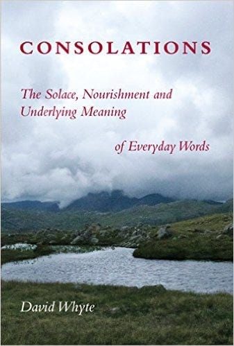 consolations book.comby/david/whyte