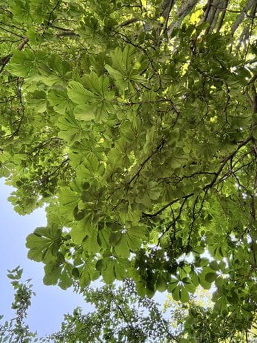 Look up and exhale 🌱☀️
