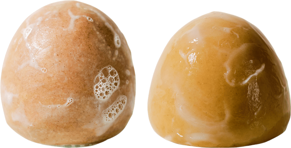 Conscia LUX Shampoo Stones