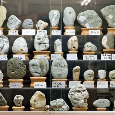 Chinsekikan (The Hall of Curious Rocks)