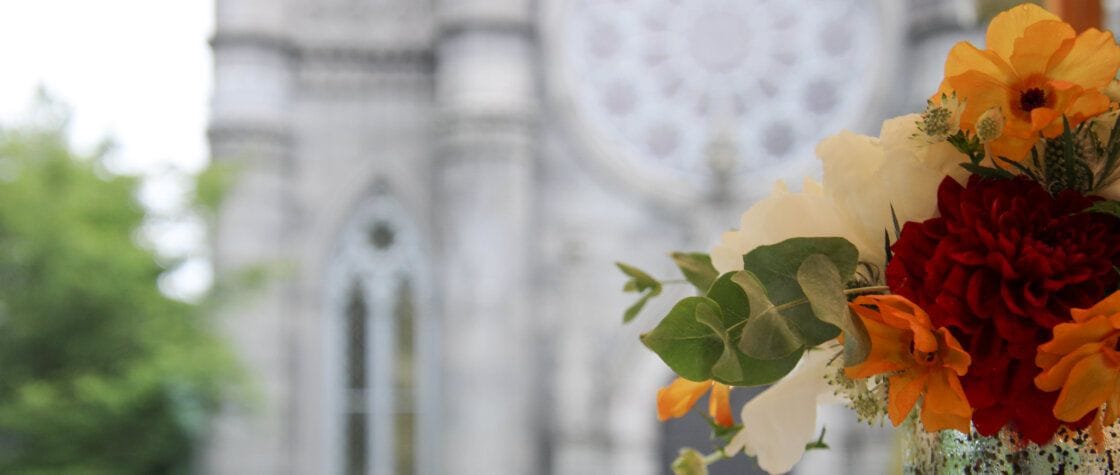 Mount Auburn Cemetery