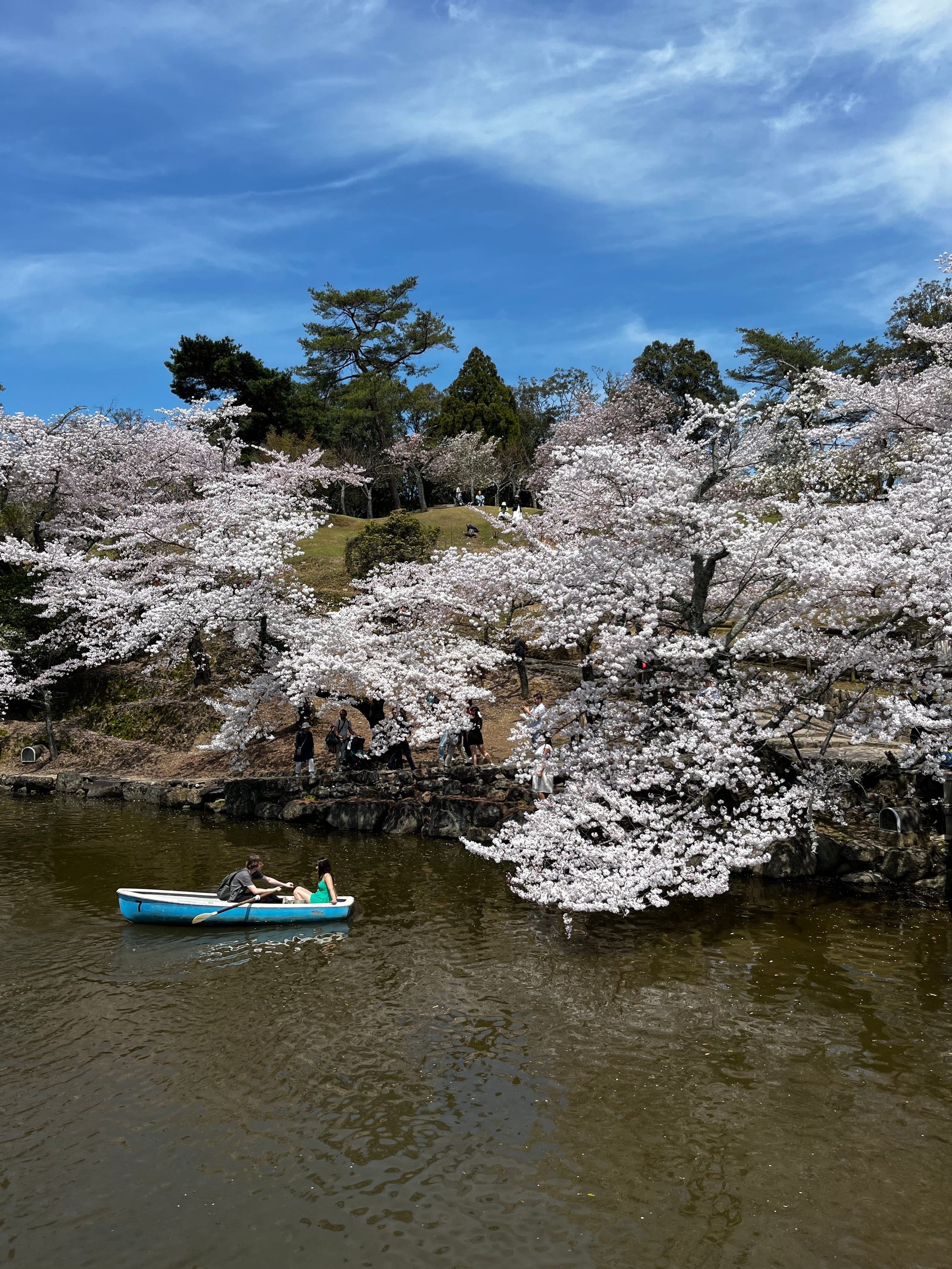 Mono no Aware : Finding Beauty in Life’s Fleeting Moments