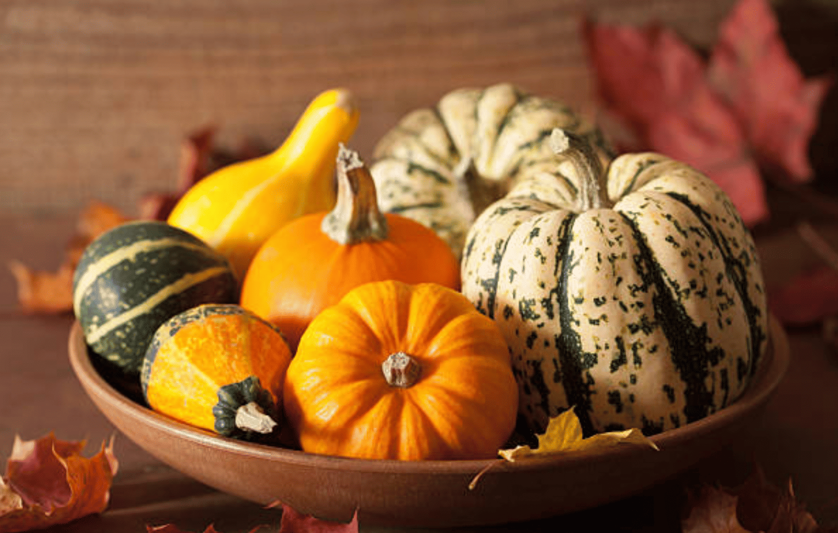 It’s decorative gourd season.