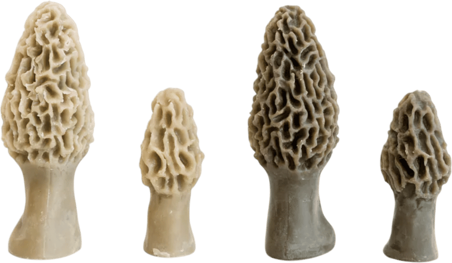 Members-Only Recommendation