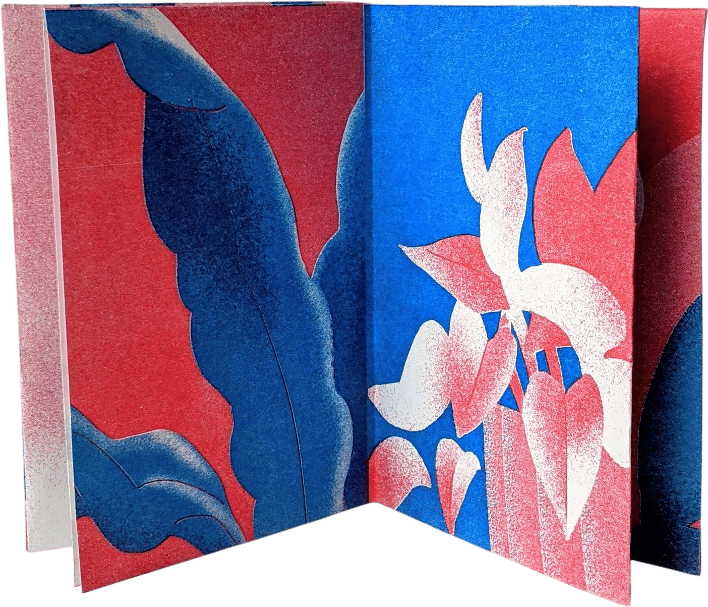 Plant Risograph Zine