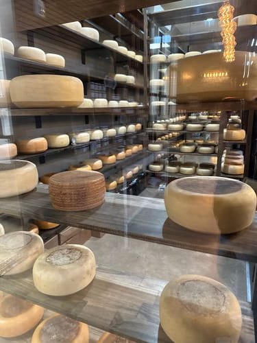 I'm in a Very Cheese Time of My Life