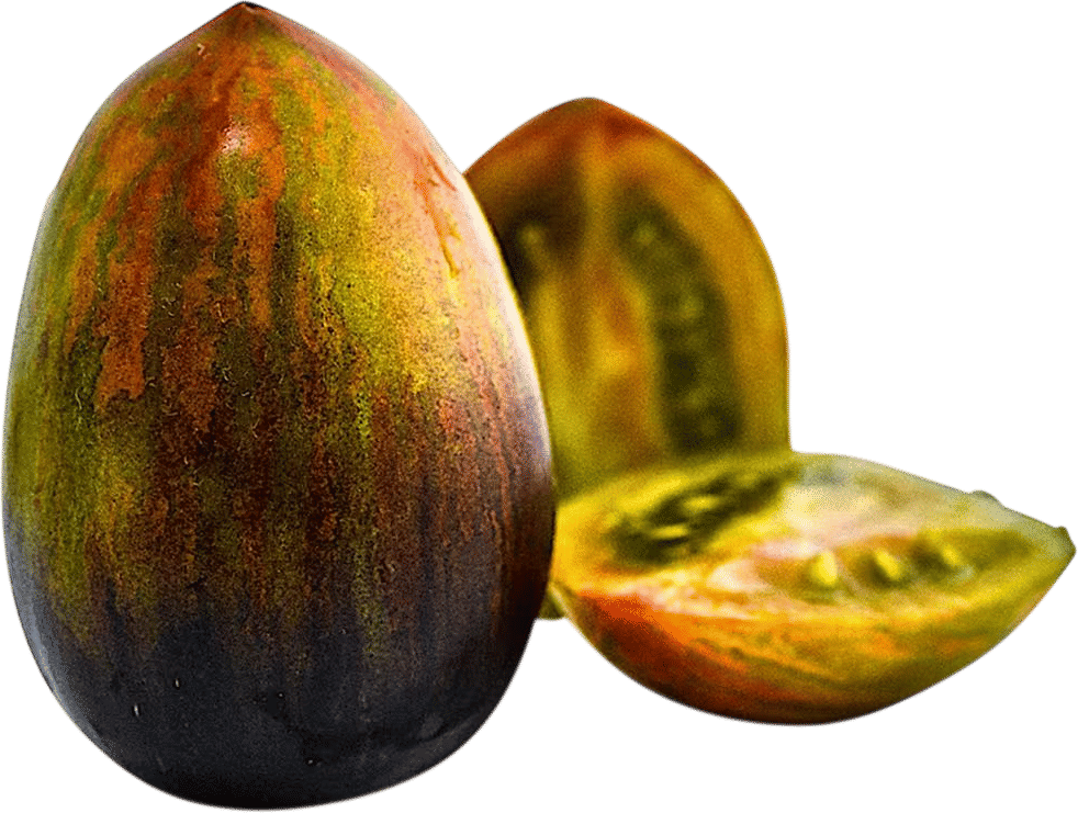 Brad’s Atomic Grape Tomato