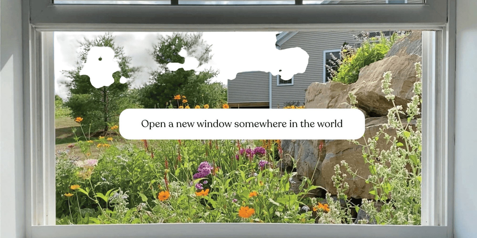 Window Swap