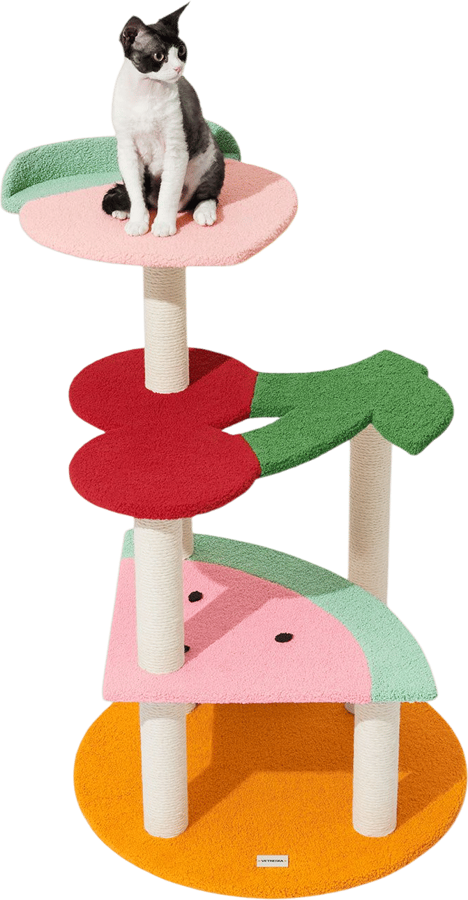 VETRESKA Fruit Frenzy Cat Climber