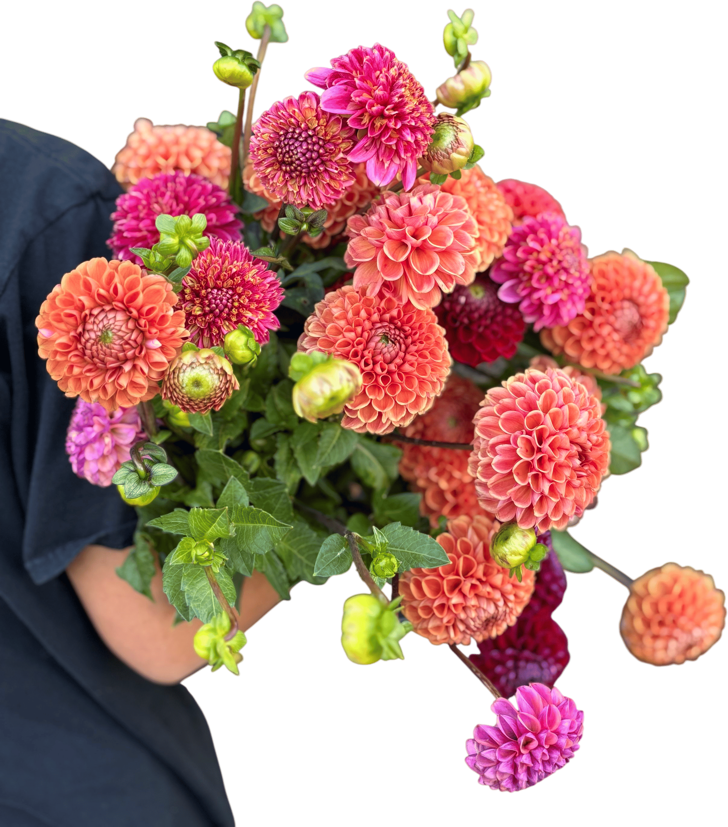 Lakeview Hill Farm 2026 Farm Tours & Events