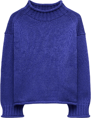 Jcrew rollneck