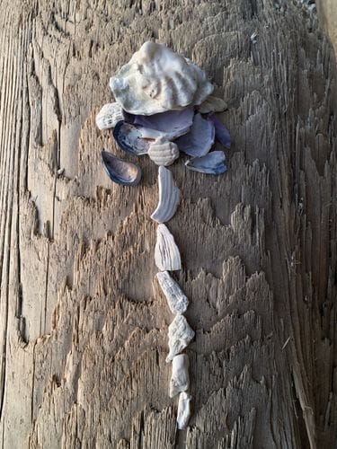 beach museum