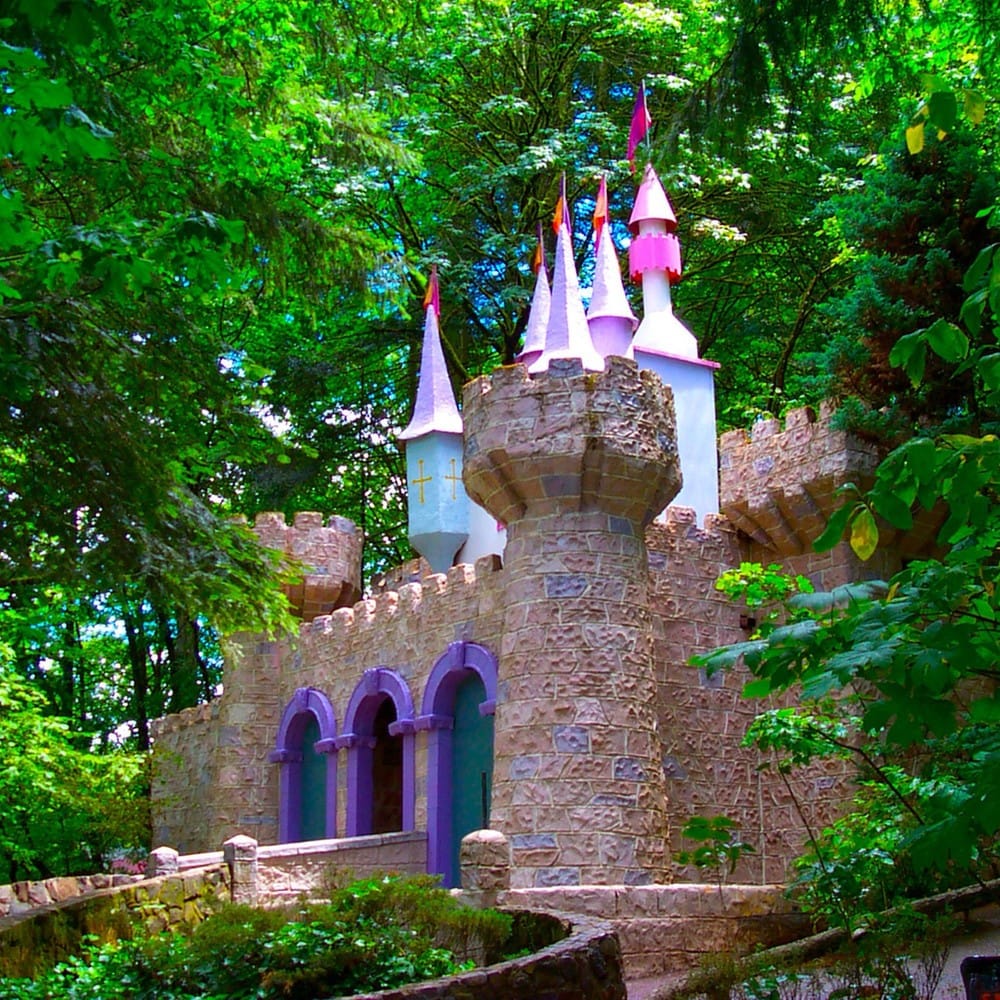 Enchanted Forest
