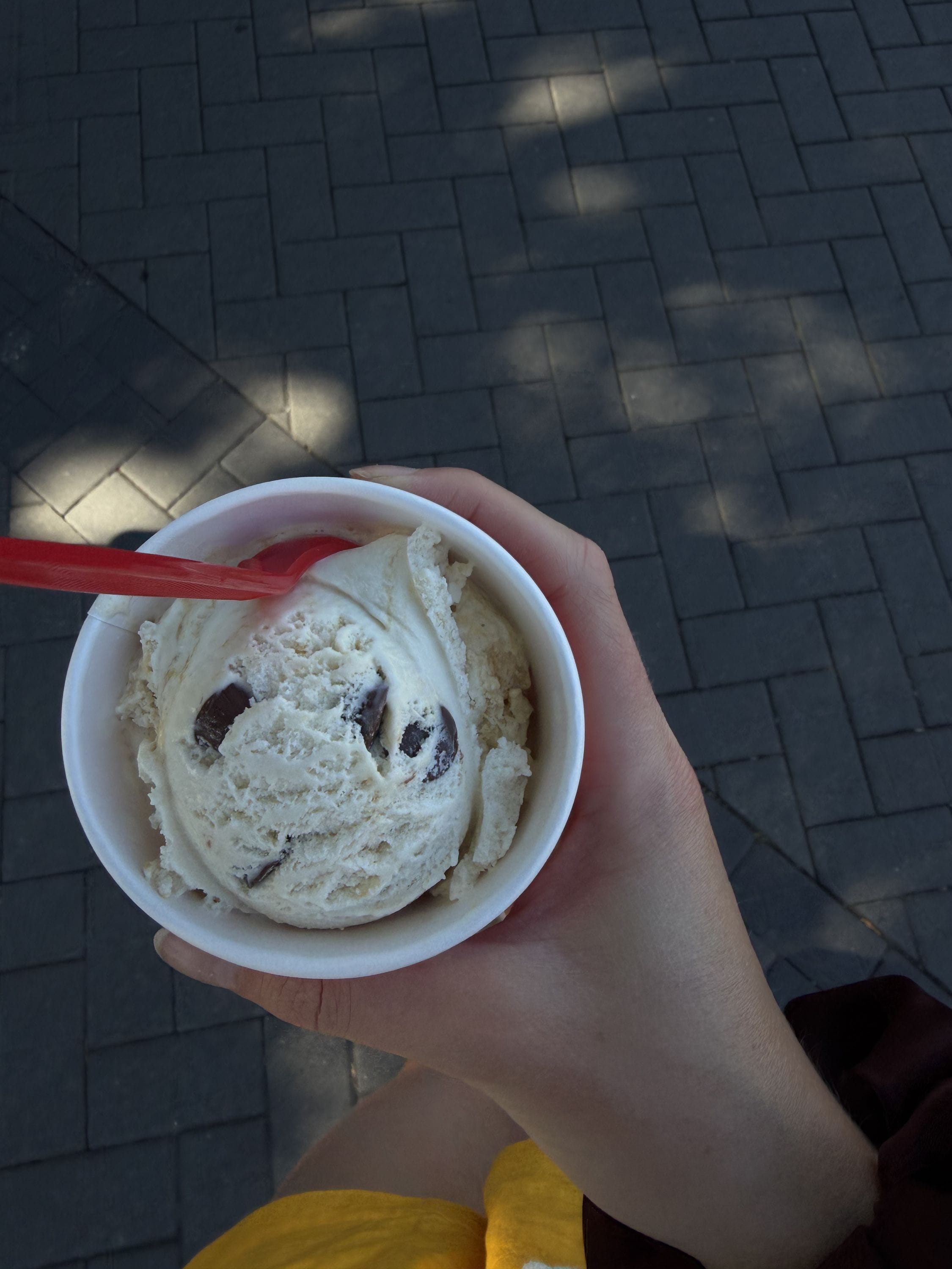 Caramel caribou ice cream