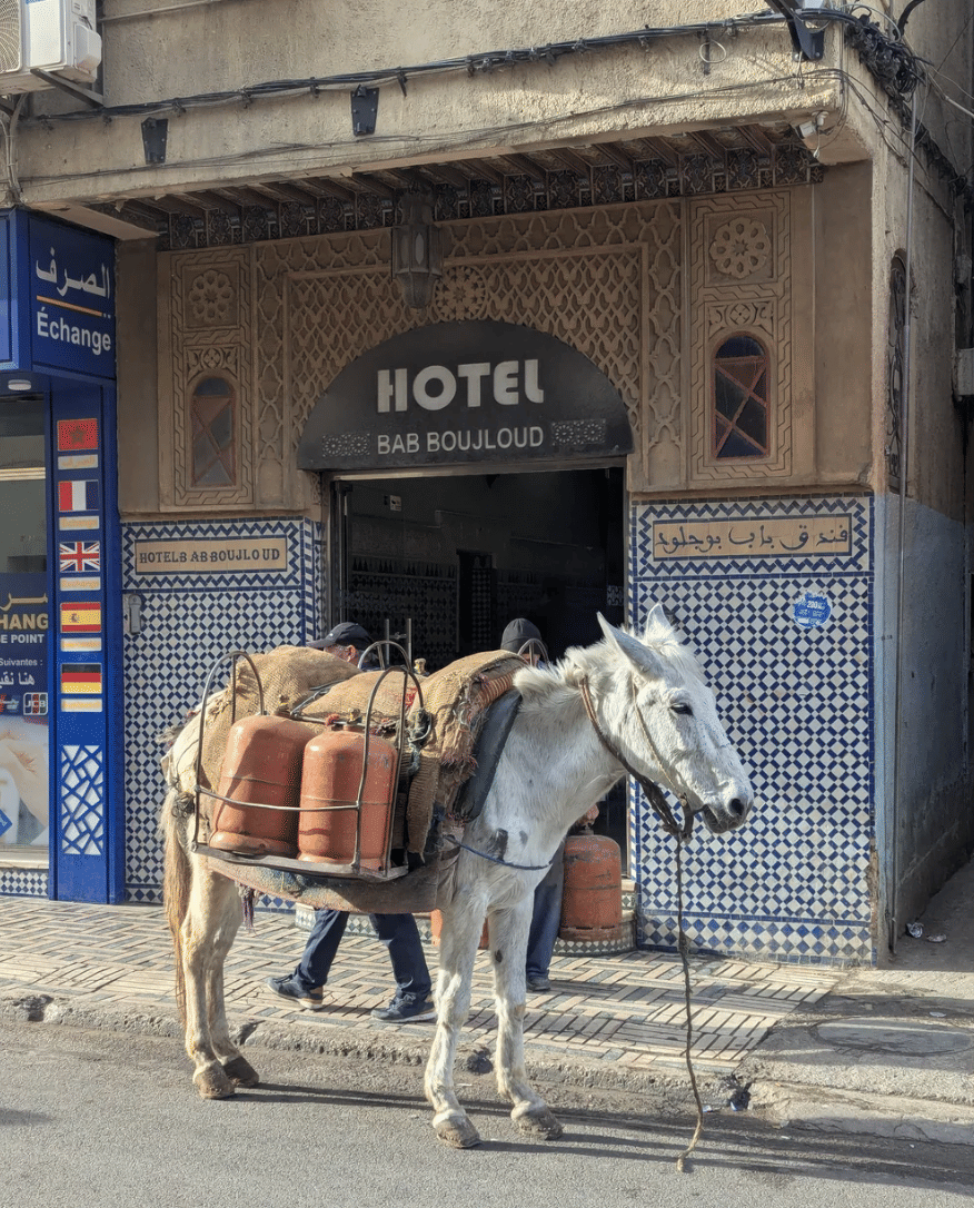 An incredible place to visit in Fez that isn't in any guidebook