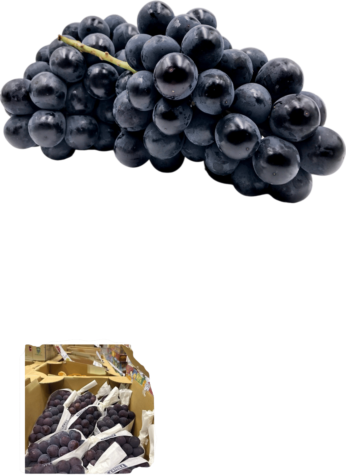 Kyoho Grapes
