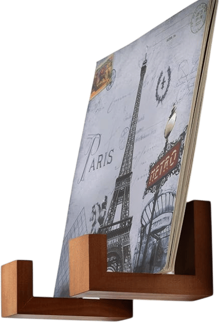 Vinyl LP Wall Mount Display