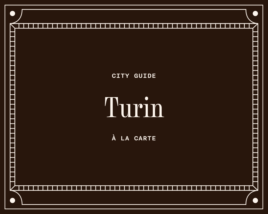 Turin Guide