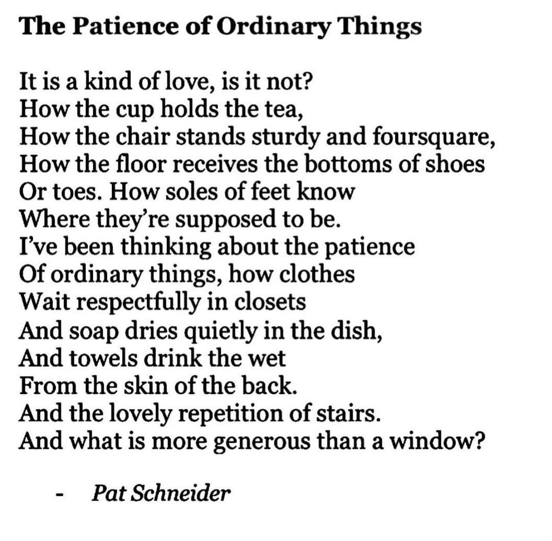 The Patience of Ordinary Things