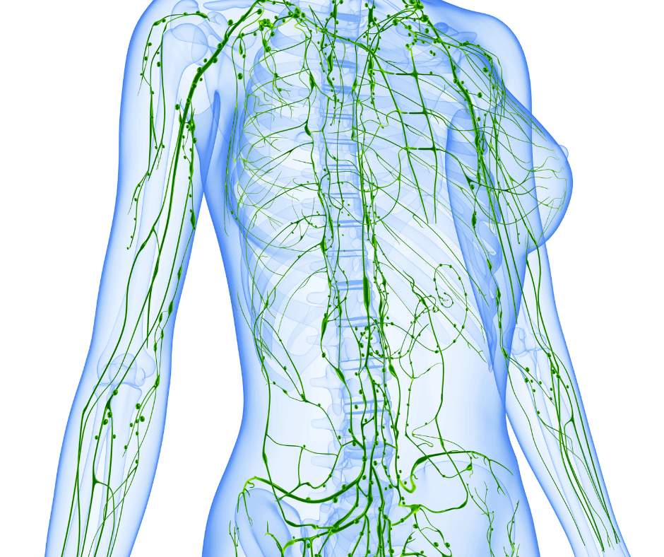 The Big 6 Lymphatic Routine as part of my shower routine