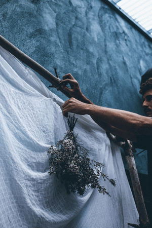 Land Art Collective