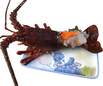 The Kaiya ザ・貝屋