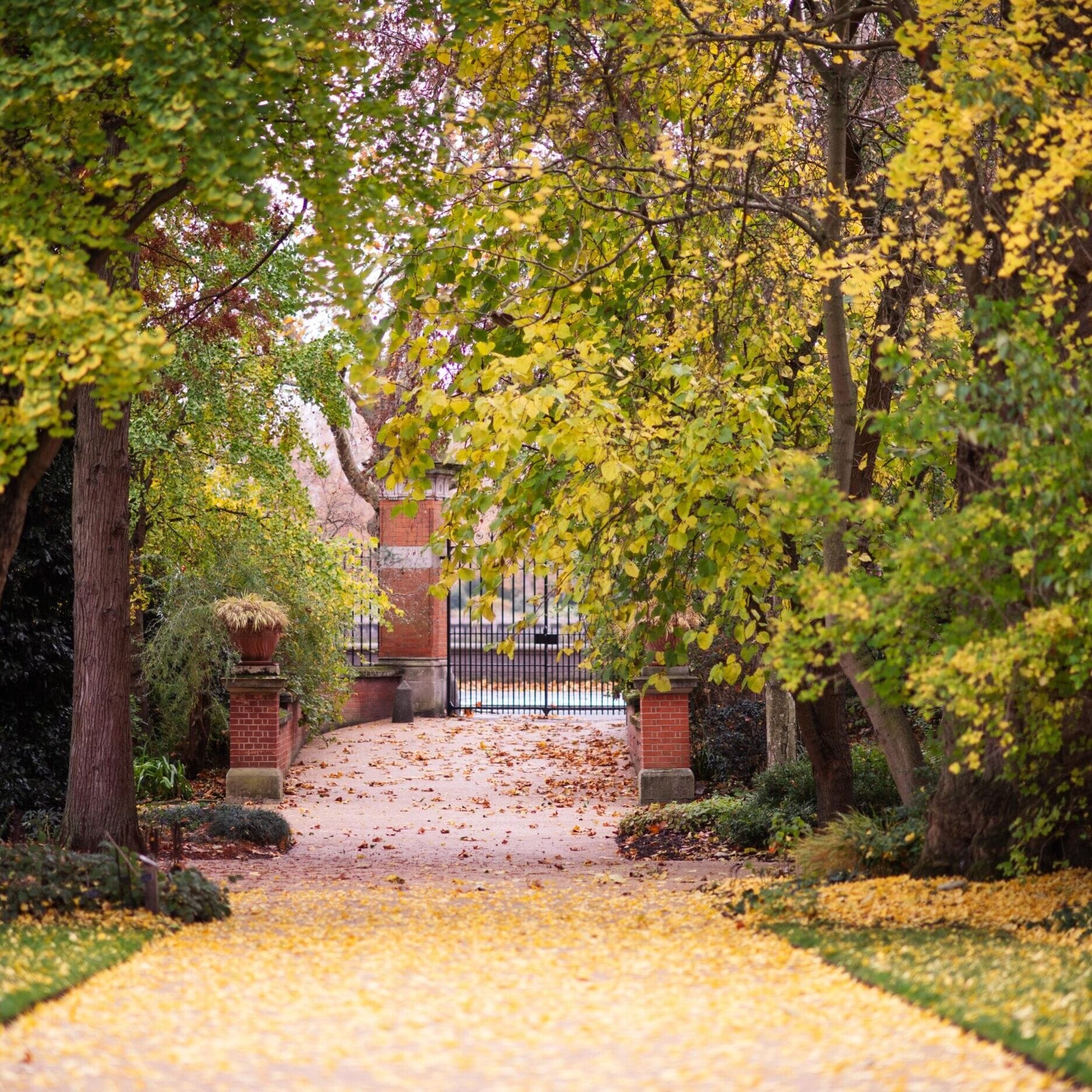 Members-Only Recommendation