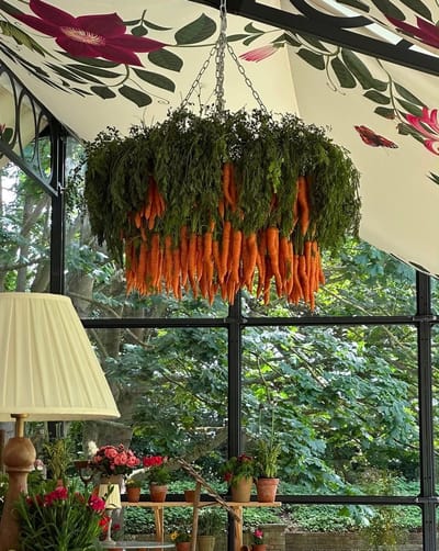 Vegetable Chandeliers and Sculptures