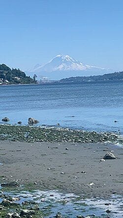 Seattle is the best ❤️ top recs are Discovery Park and Din Thai Fung