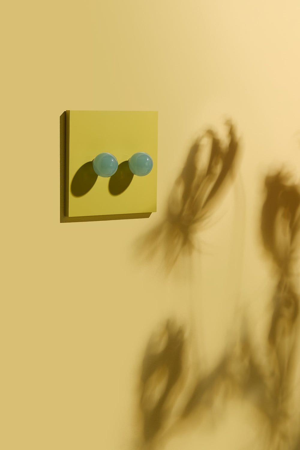 Dimwit Light Dimmers